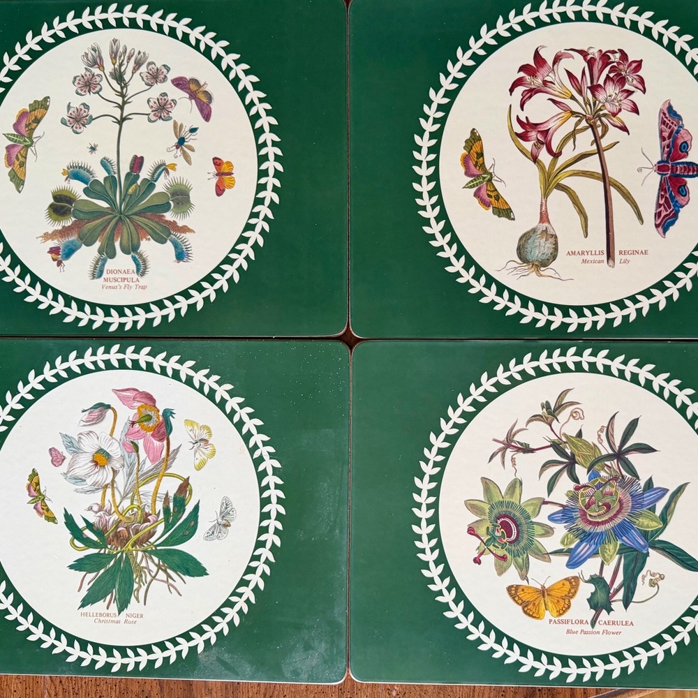 Set Of 4 Vintage 1990’s Portmeirion Botanical Placemats